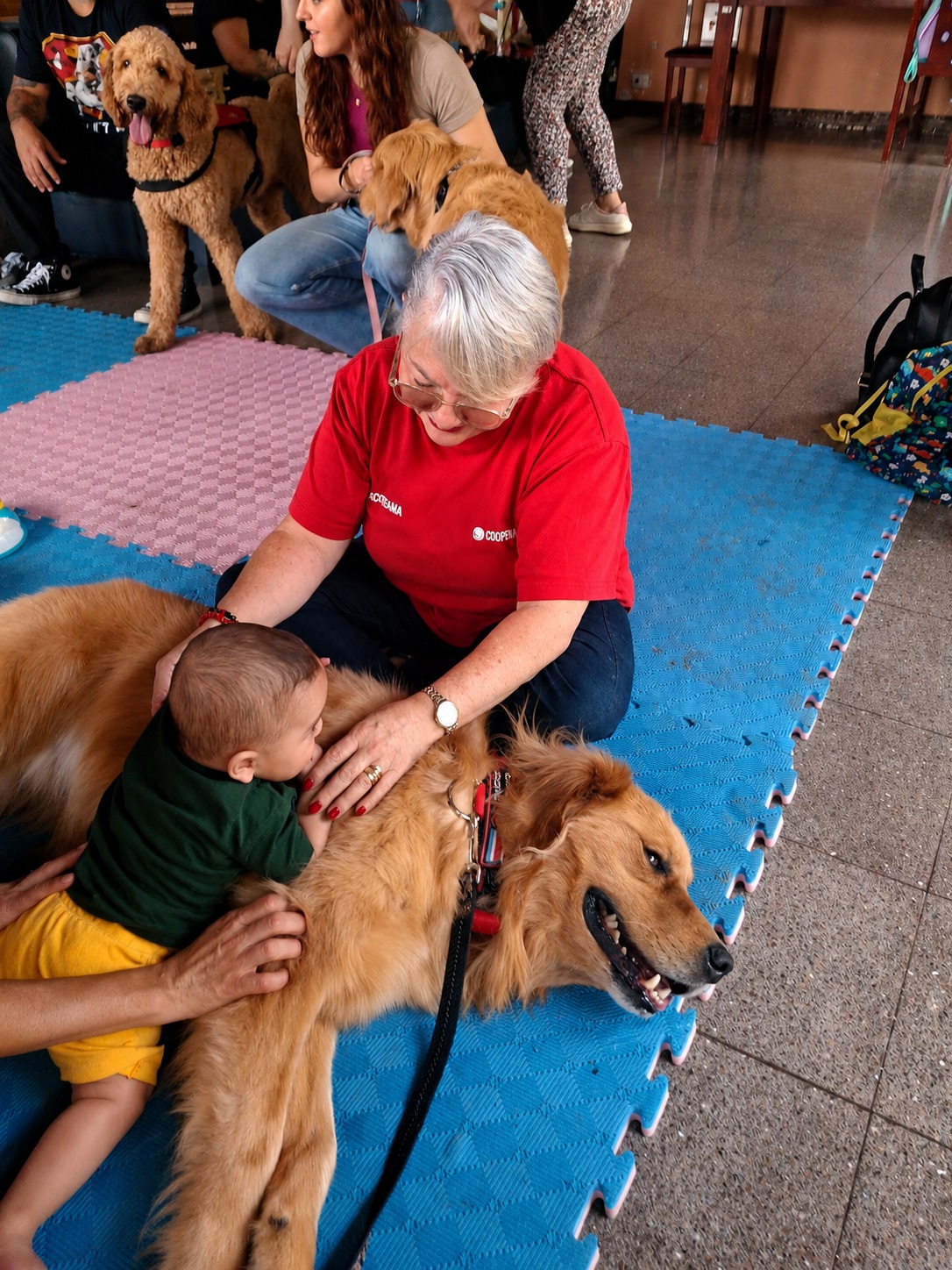 Bebé con golden retriever terapeuta